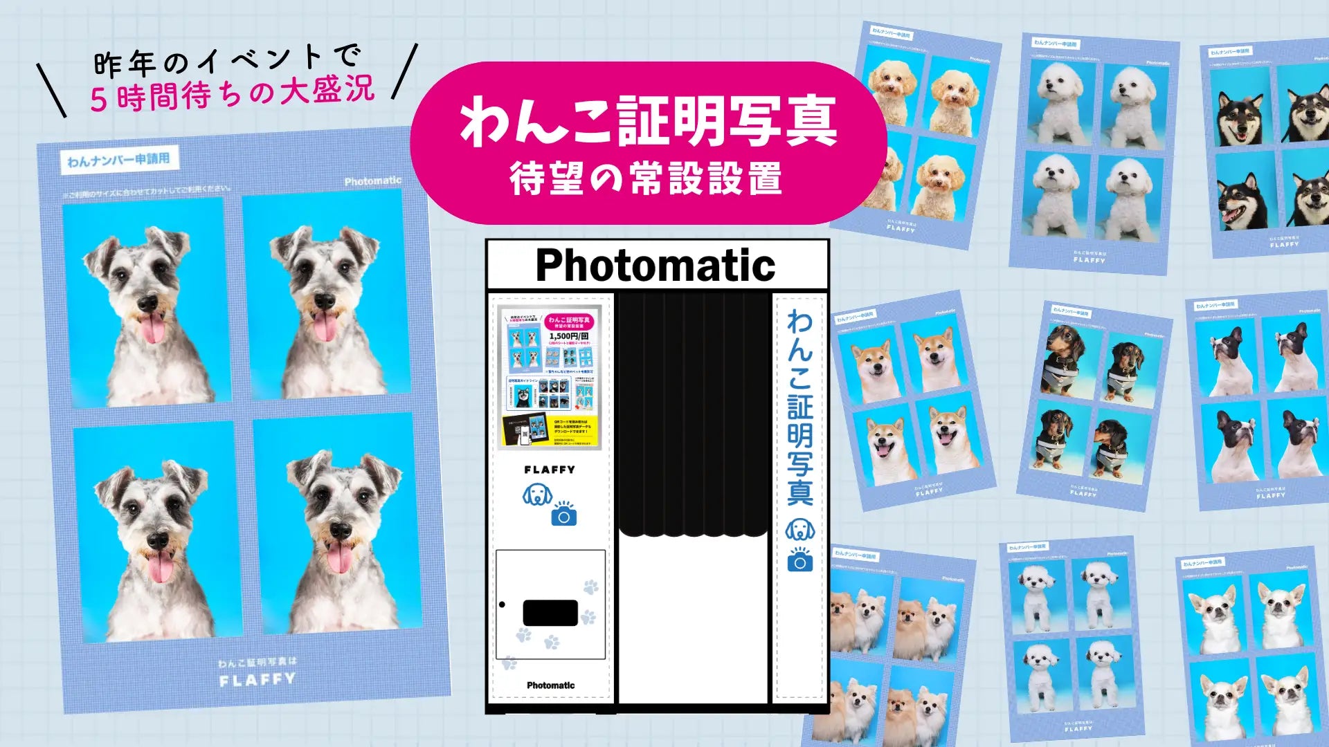 イベントで大人気だった世界初?「わんこ証明写真」を新リリース