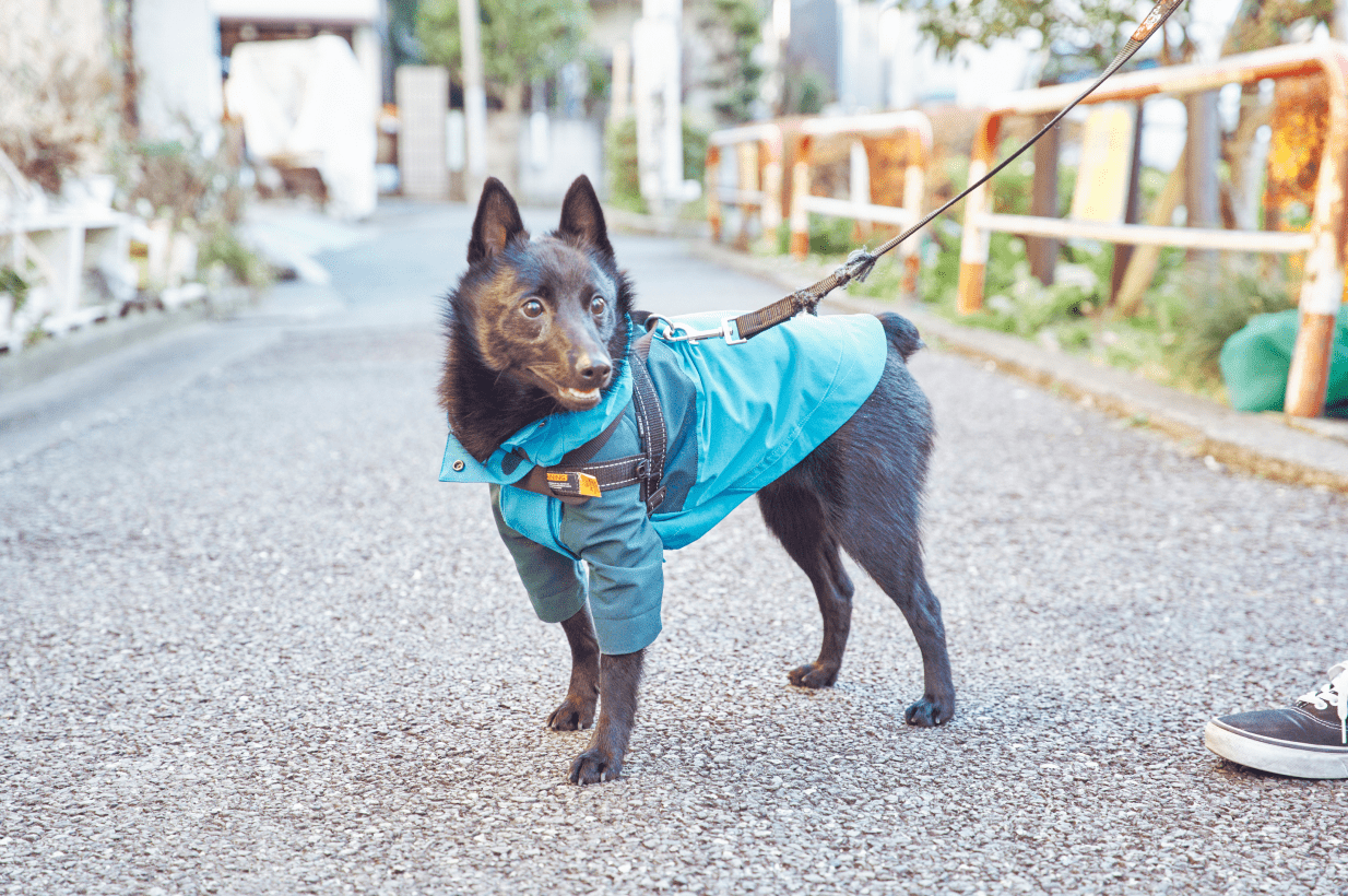 着なくなったけど思い出がたくさんあって手放せなかったマウンテンパーカーをリメイク