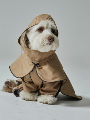 rain coat(レインコート)