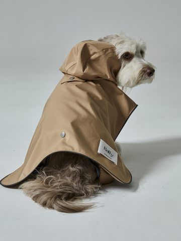 rain coat(レインコート)