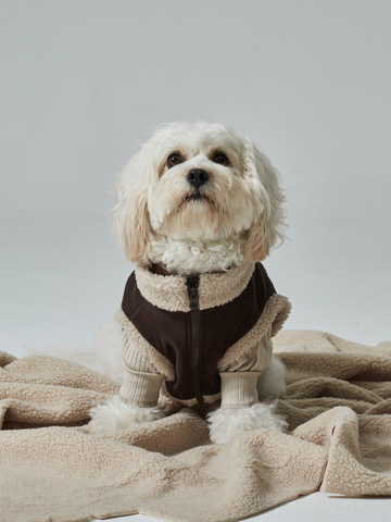boa vest(ボアベスト)