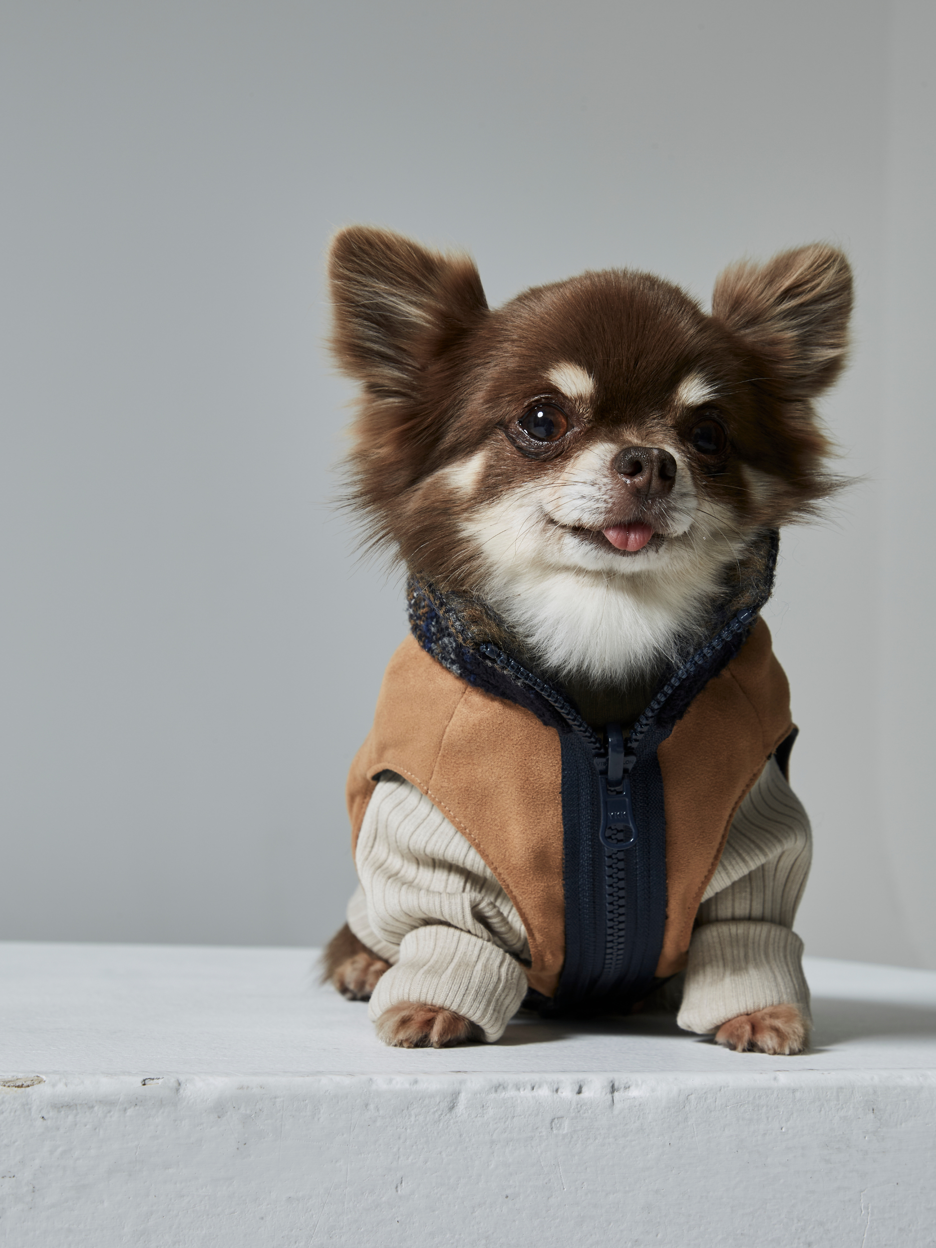 shaggy reversible vest(リバーシブルベスト)