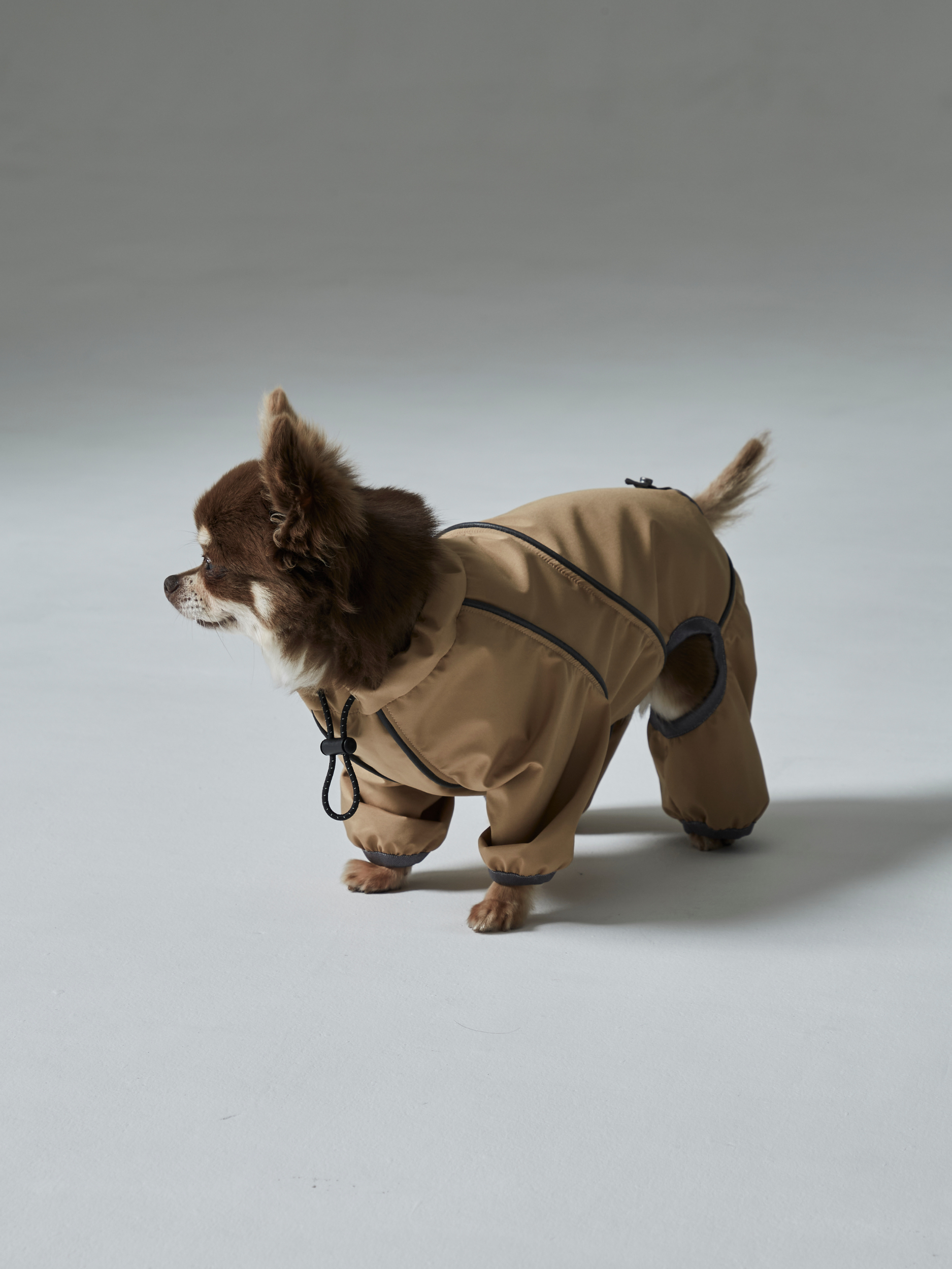 rain coat(レインコート)