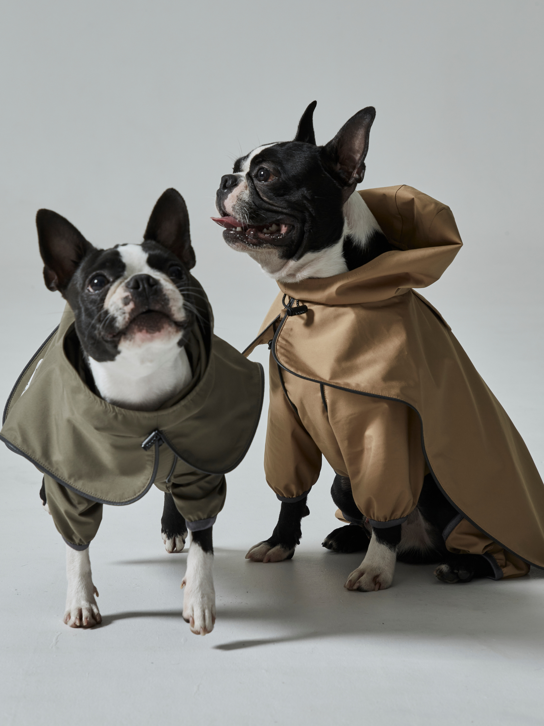 rain coat(レインコート)