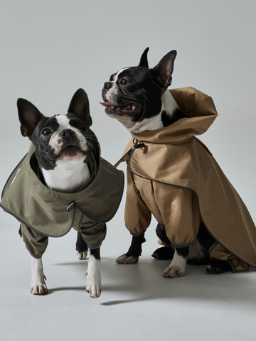 rain coat(レインコート)