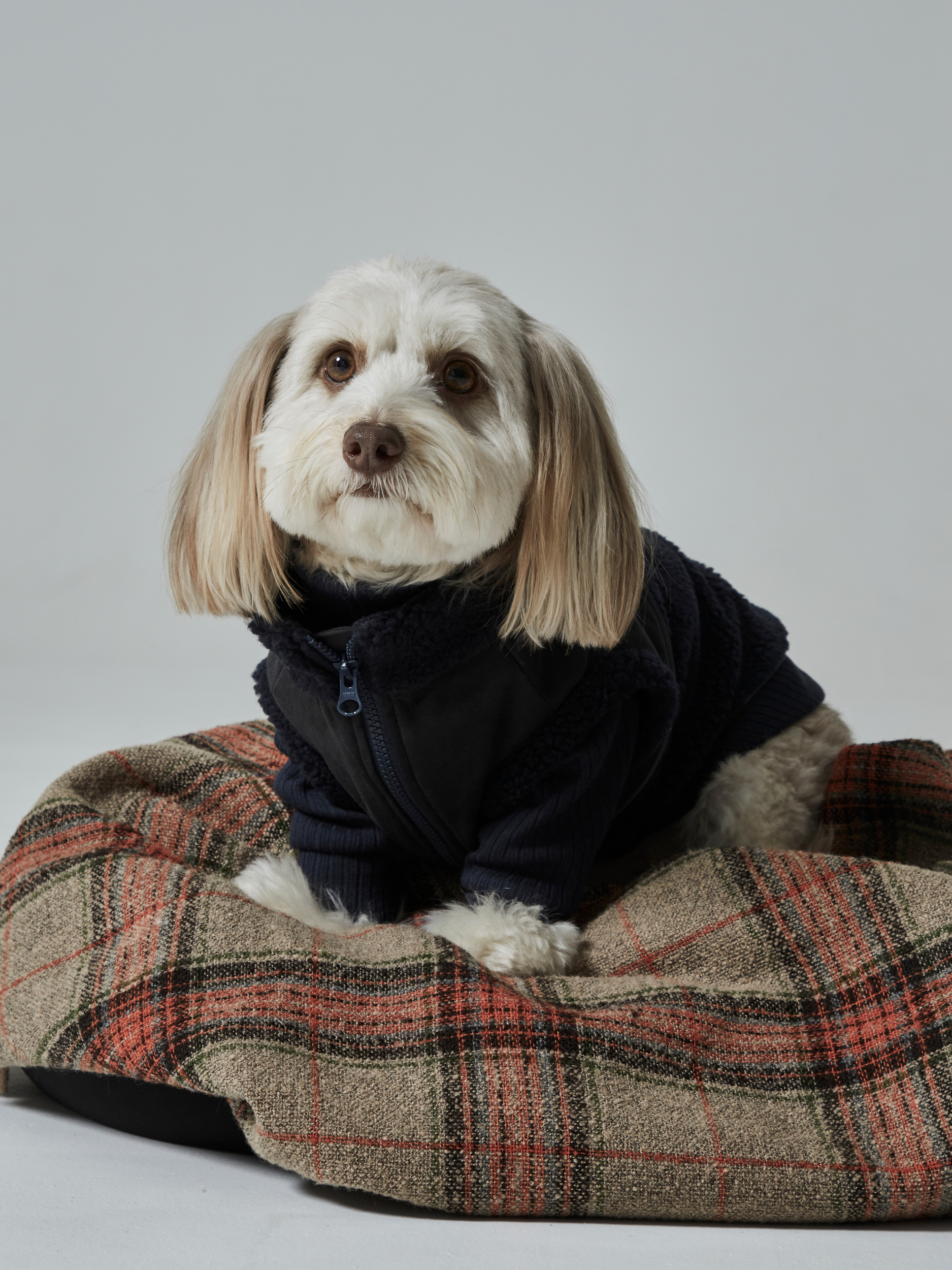 boa vest(ボアベスト)