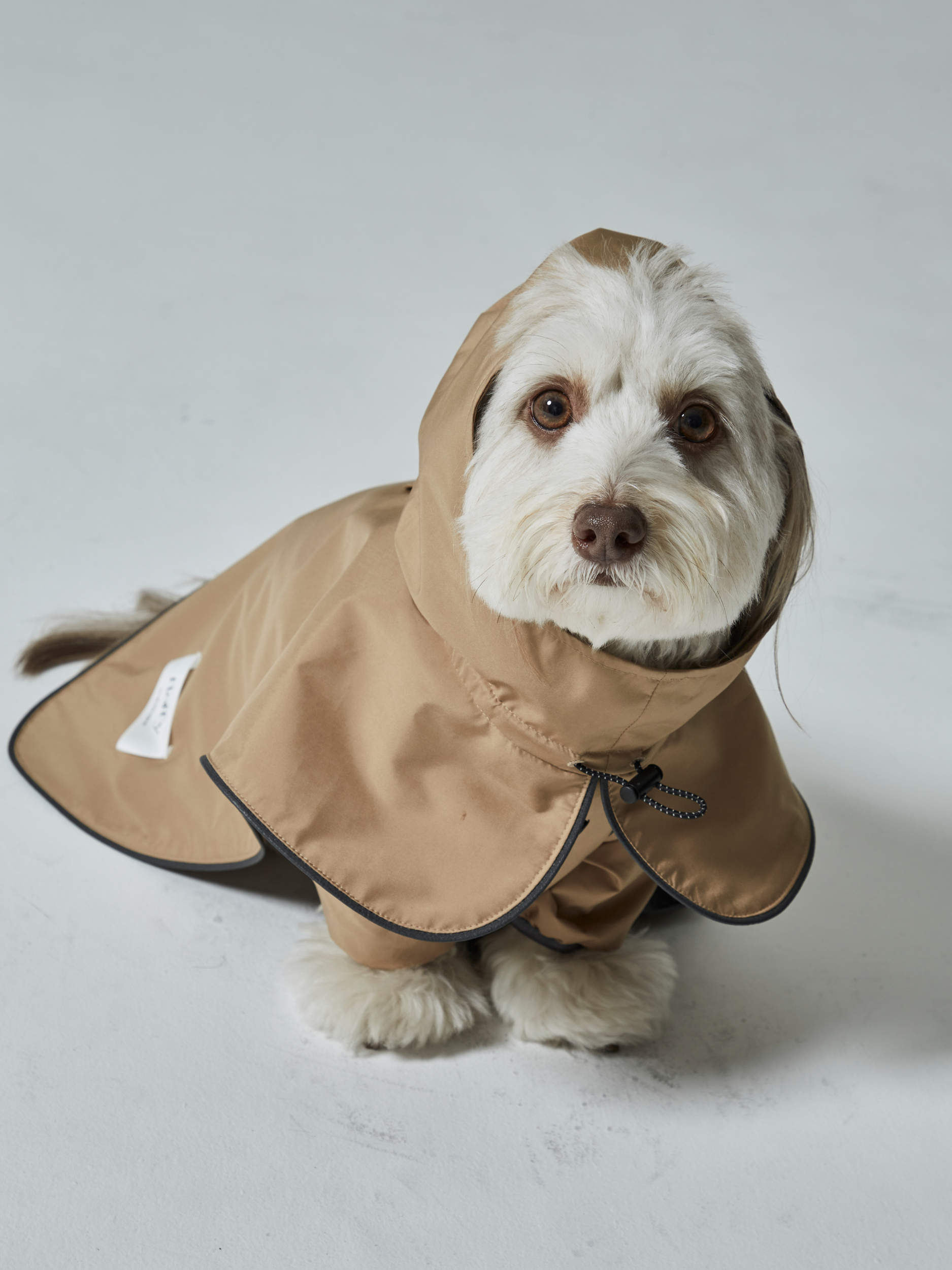 rain coat(レインコート)