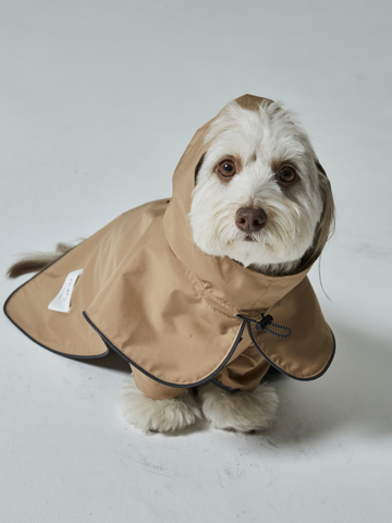 rain coat(レインコート)