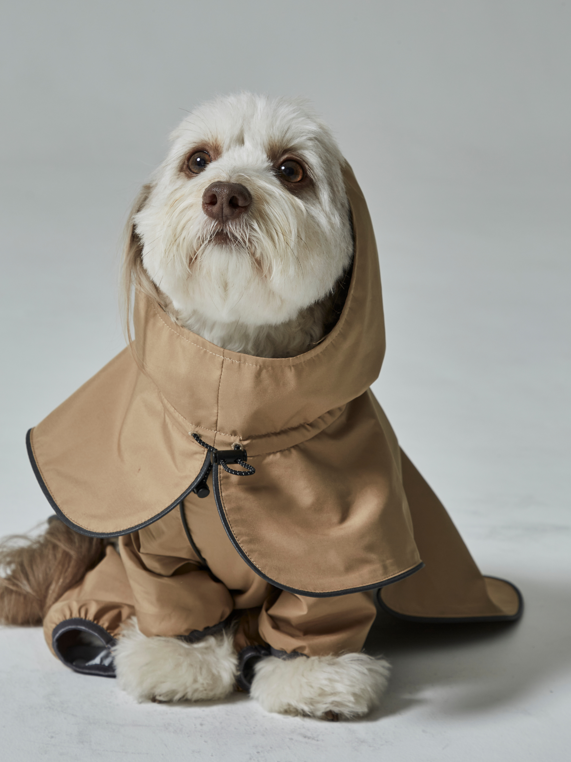 rain coat(レインコート)