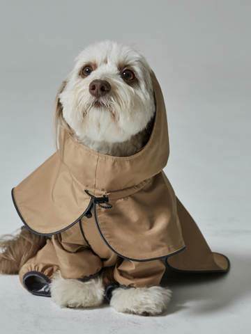 rain coat(レインコート)