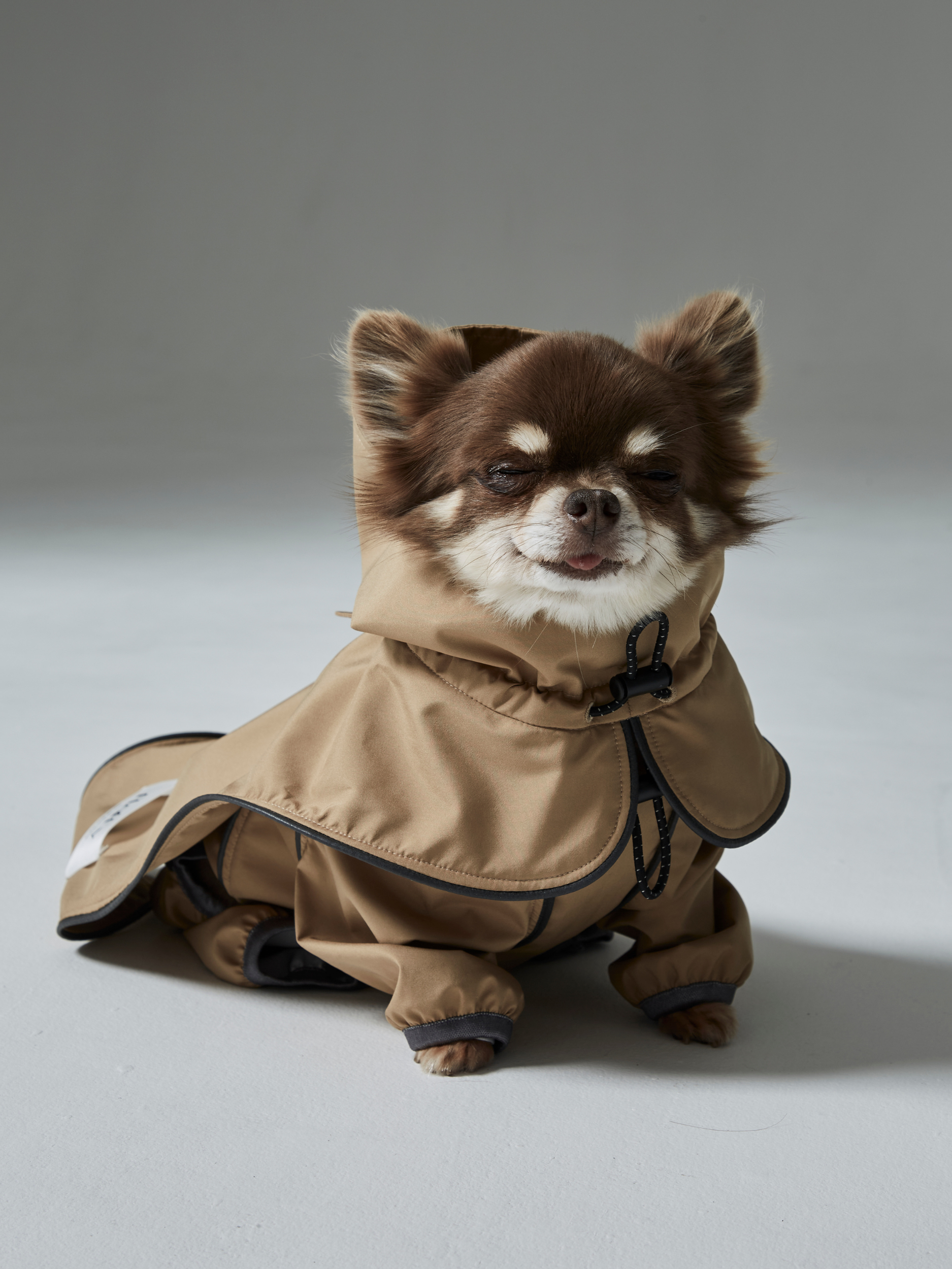 rain coat（レインコート）｜【公式】FLAFFY（フラッフィー）｜イヌと